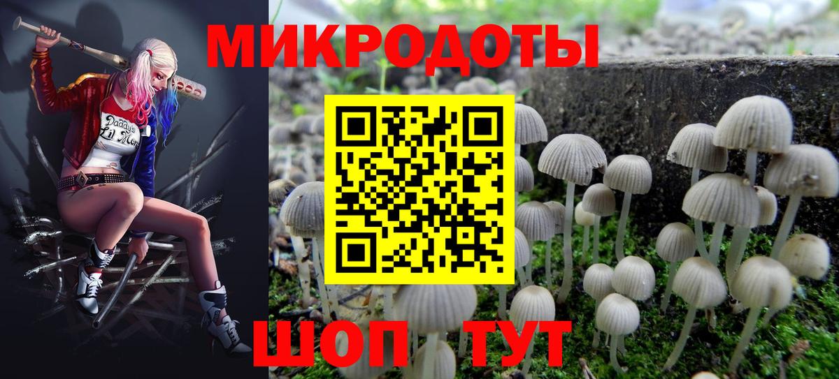 Галлюциногенные грибы GOLDEN TEACHER Северск