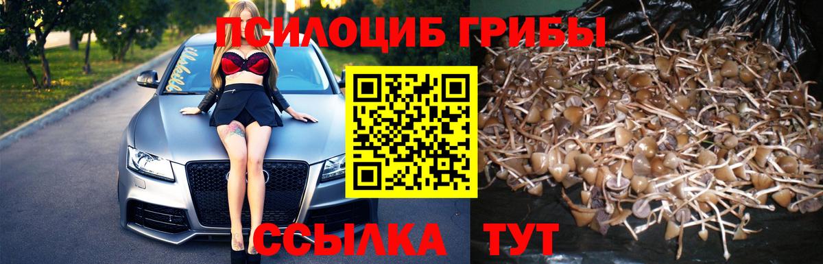 Северск  Галлюциногенные грибы MAGIC MUSHROOMS  Вход с VPN 