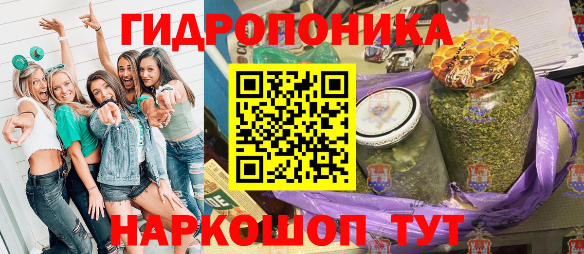 Бошки марихуана THC 21%  Вход с VPN  Бошки марихуана White Widow  Каннабис планчик  Бошки Шишки White Widow  Северск 